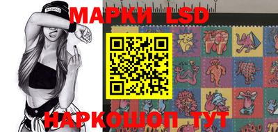 кокс Донской